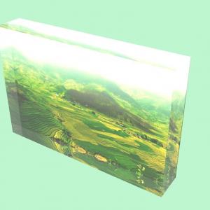 Customize Multi Color UV Printed Acrylic Block