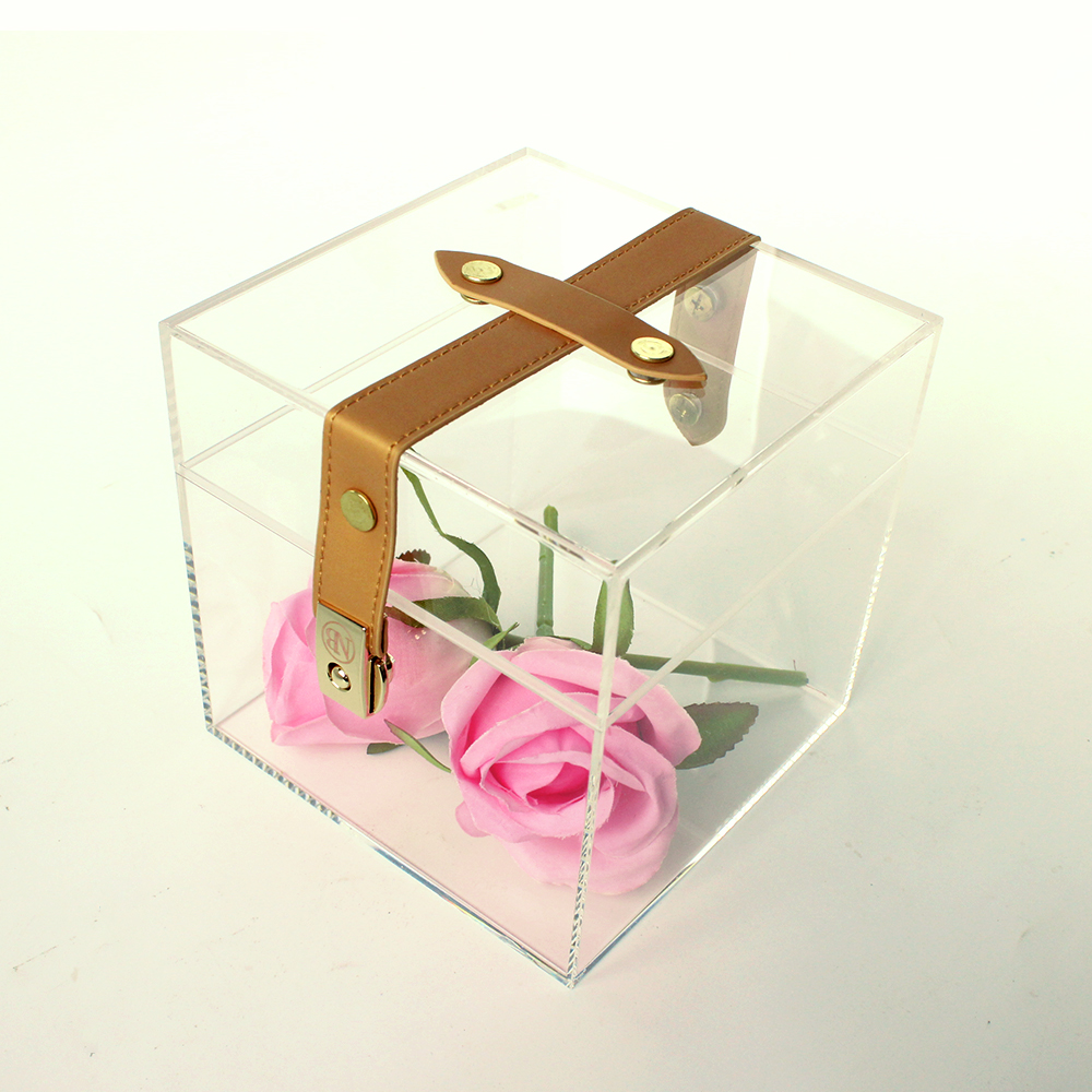 acrylic display case 01 Jpg