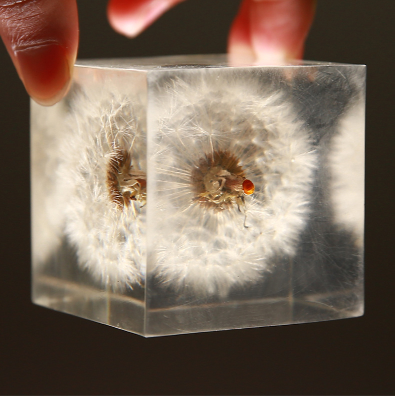 Customized Acrylic Cube Built in Dandelion