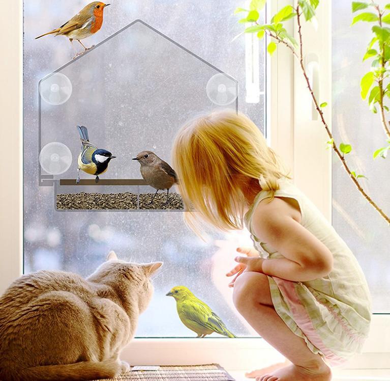 Amazon Hot Sale Outside Window Acrylic Bird Feeder Bird House