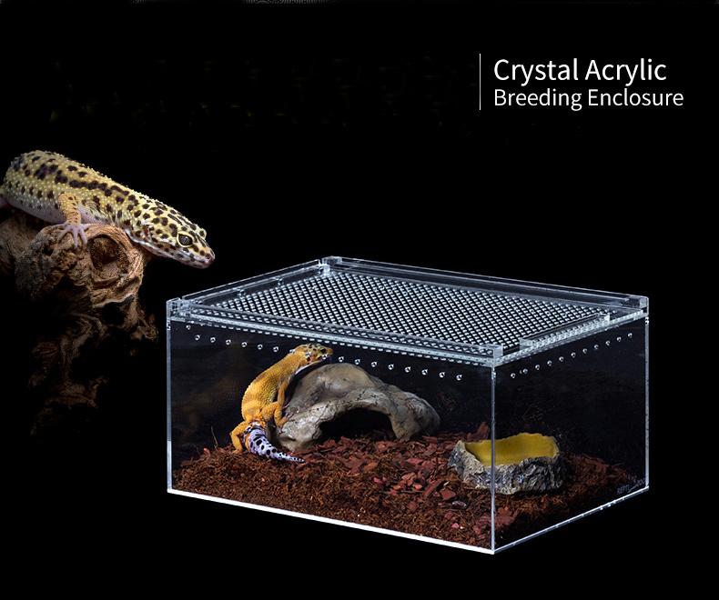 Crystal Acrylic Reptile Breeding Enclosure