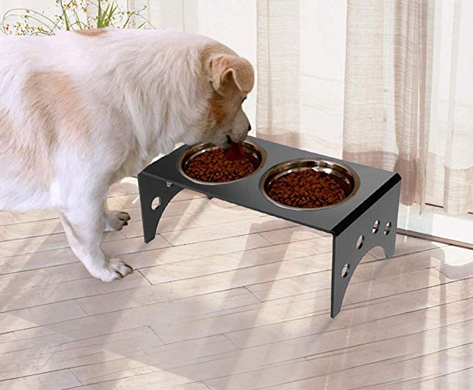 Double Bowl Acrylic Dog Feeder