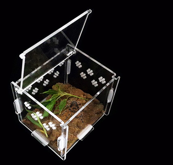 Best Selling Acrylic Hamster Cage for Sale China Manufacturer