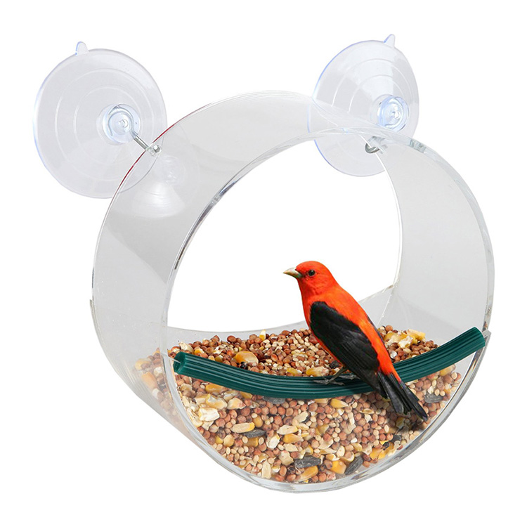 Bird Feeder 51