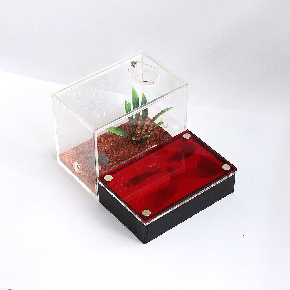 Small Acrylic Ant Box Blackout Acrylic Cage China Manufacturer