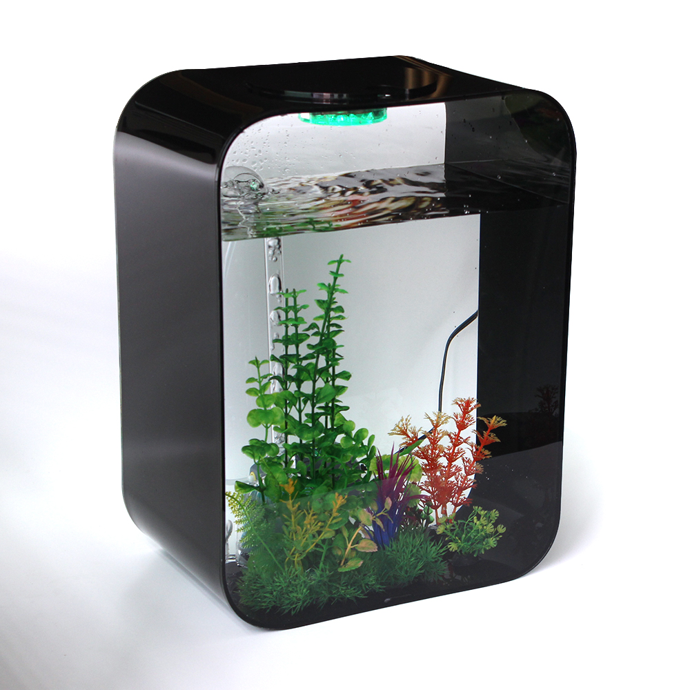 3fish Tank