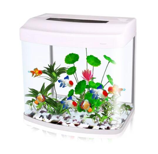 table Fish Tank