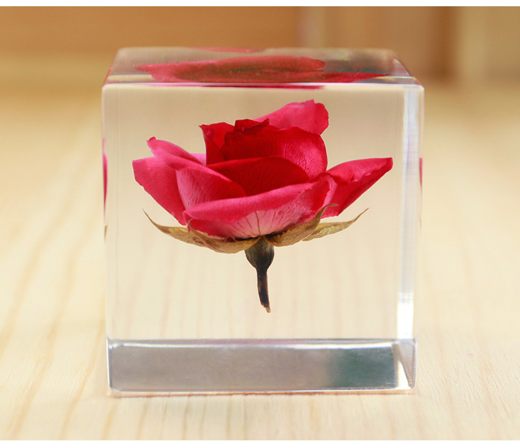 Acrylic Block Flower Gift Souvenir Craft