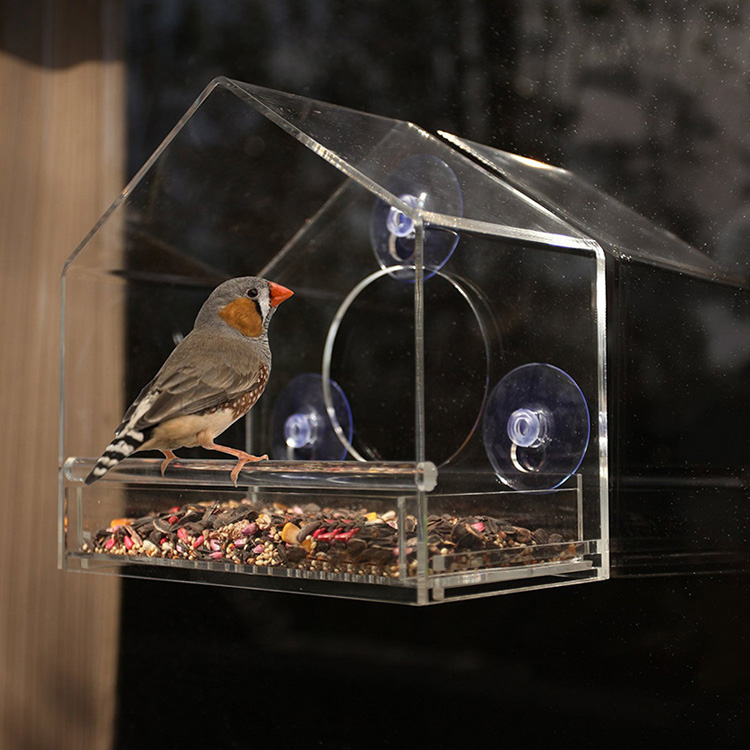 Bird Feeder 48