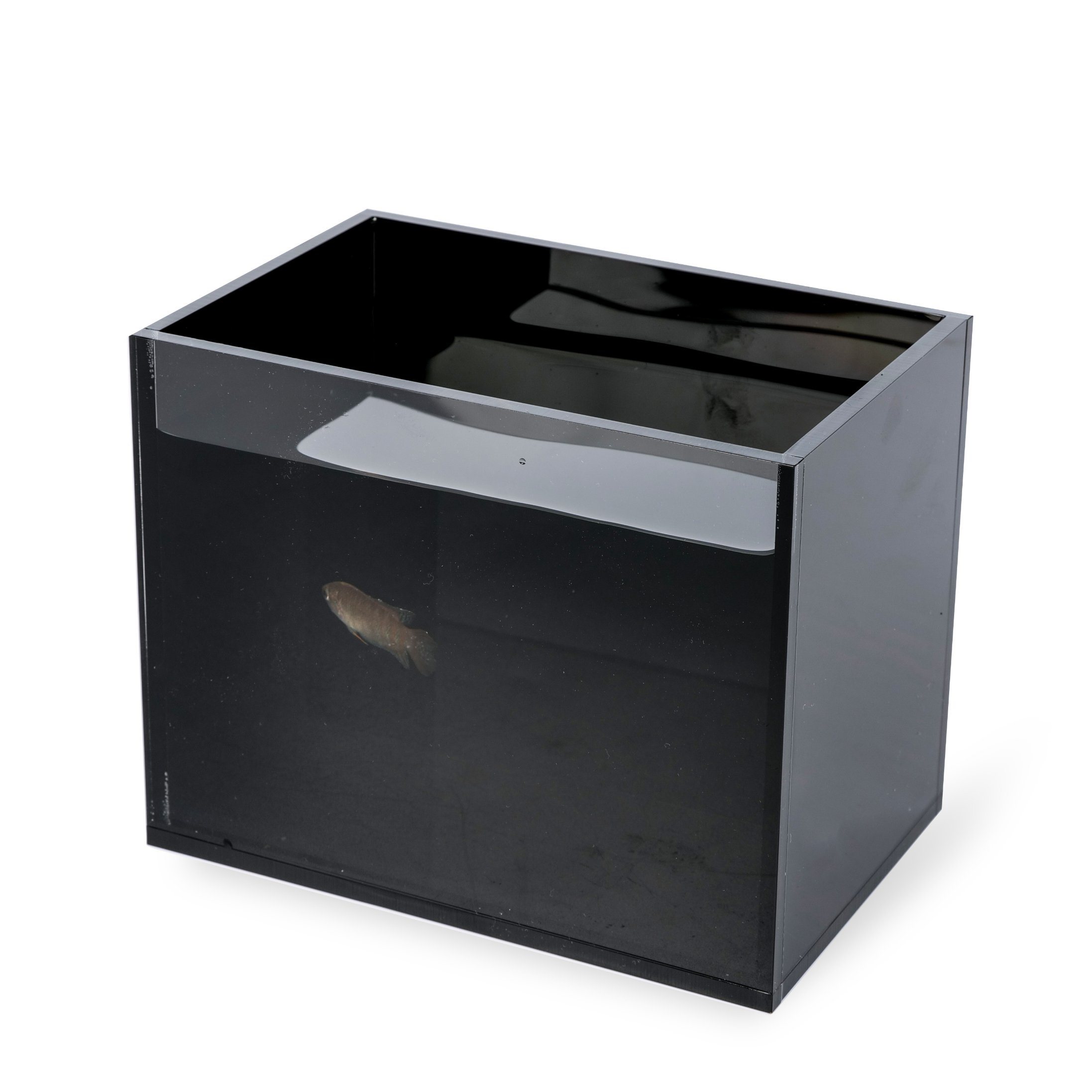 Small Acrylic Fish Tank Black Mini Betta Tank