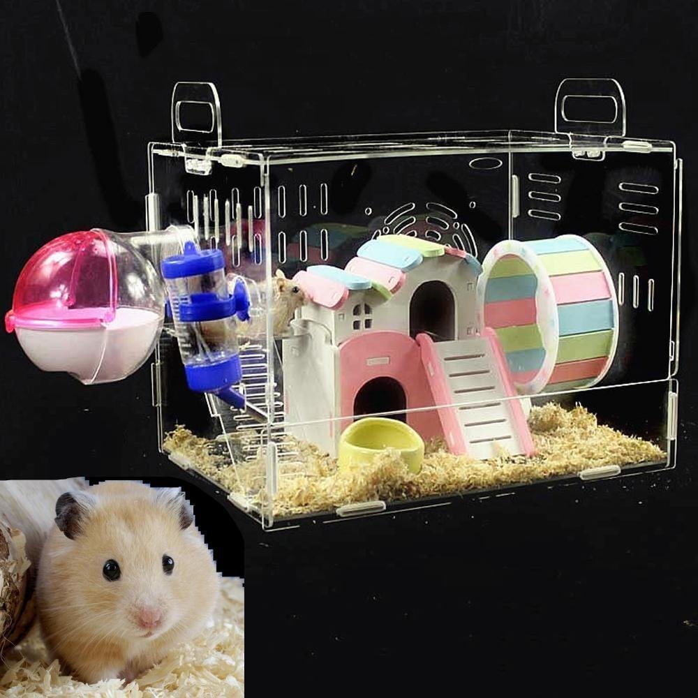 Hamster House2