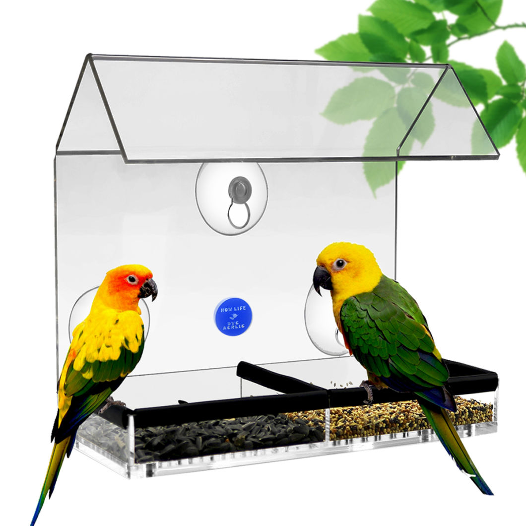 Window Acrylic Bird Feeders with Tray and Drain Holes