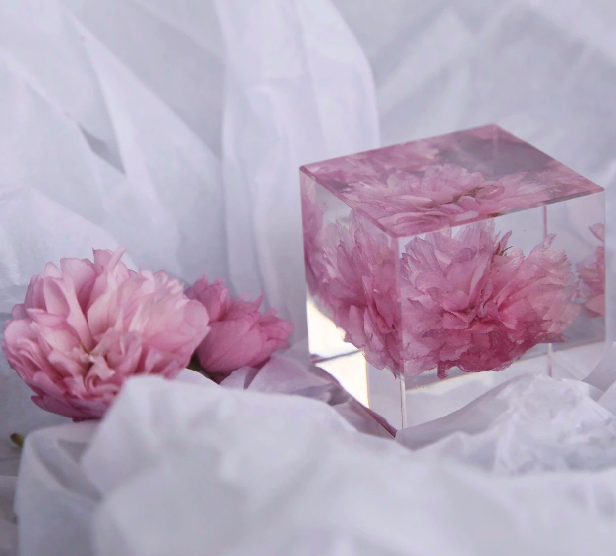 Built in Flower Clear Acrylic Cube