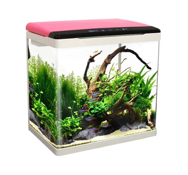 18mini Fish Tank