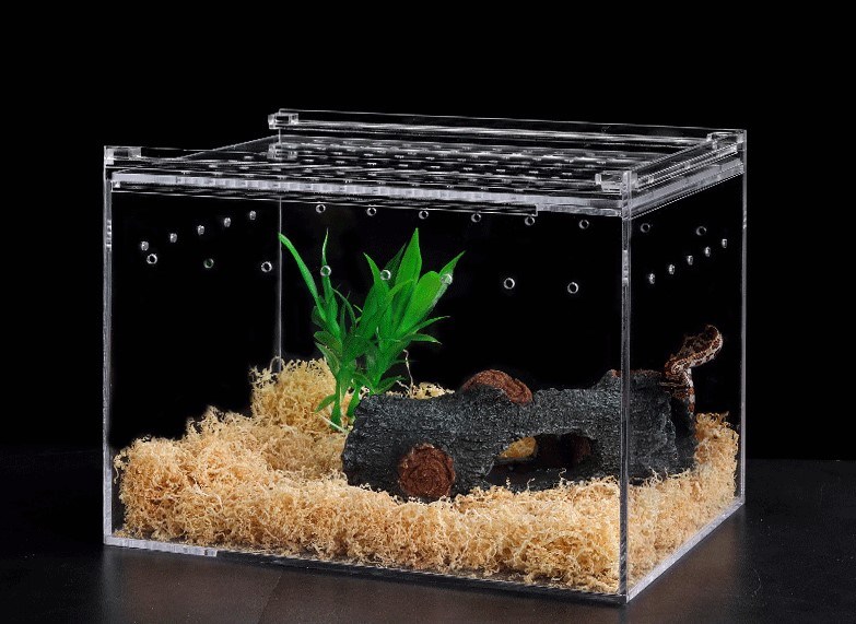 Pet Products Acrylic Snake Box