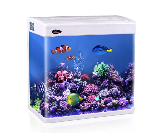 Rectangular small acrylic table fish tank for sale China Manufacturer