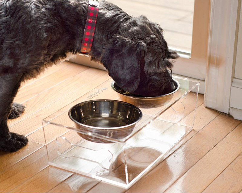 Easy Cleaning Acrylic Pet Feeder