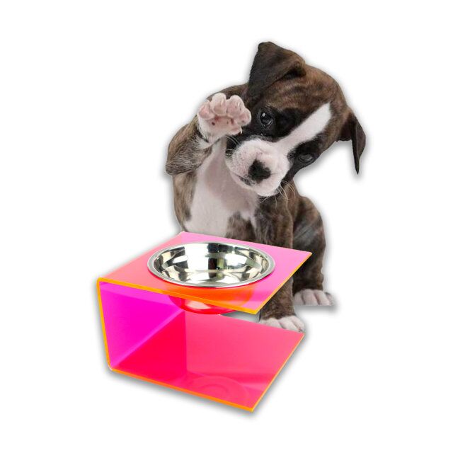 Neon Pink Acrylic Feeding Pet Bowl Jpg