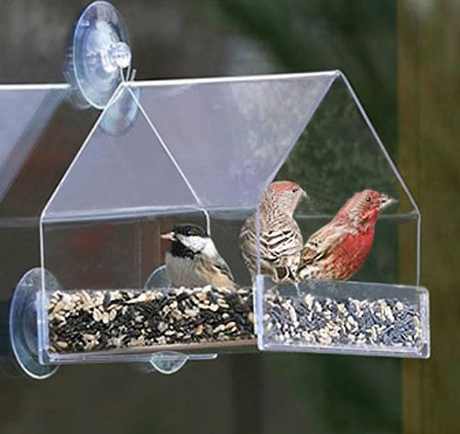 Bird Feeder 1