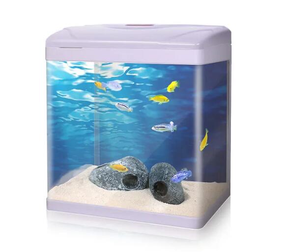 Mini Fish Tank