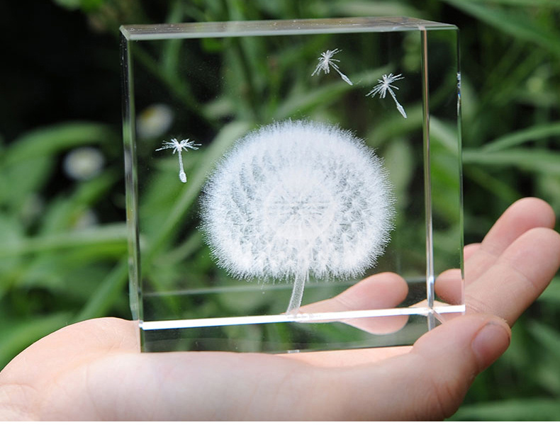 Acrylic Block Built in Dandelion