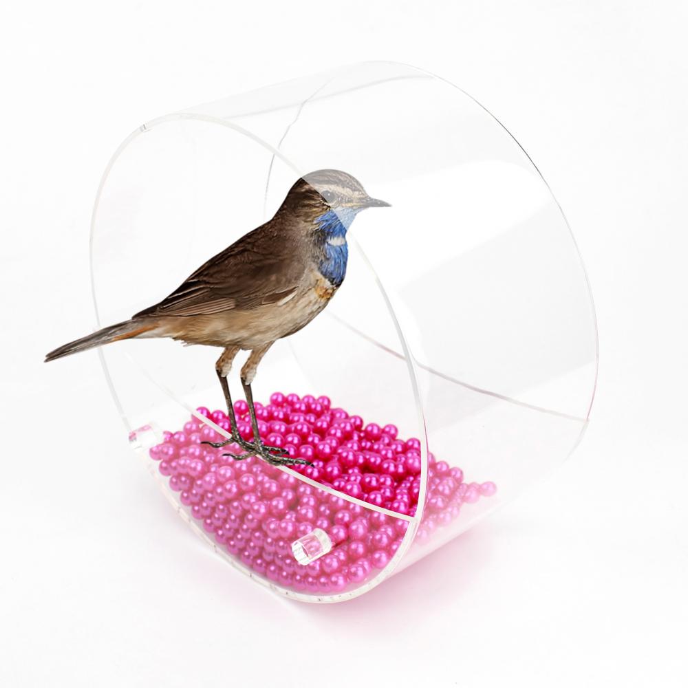 Bird Feeder 8