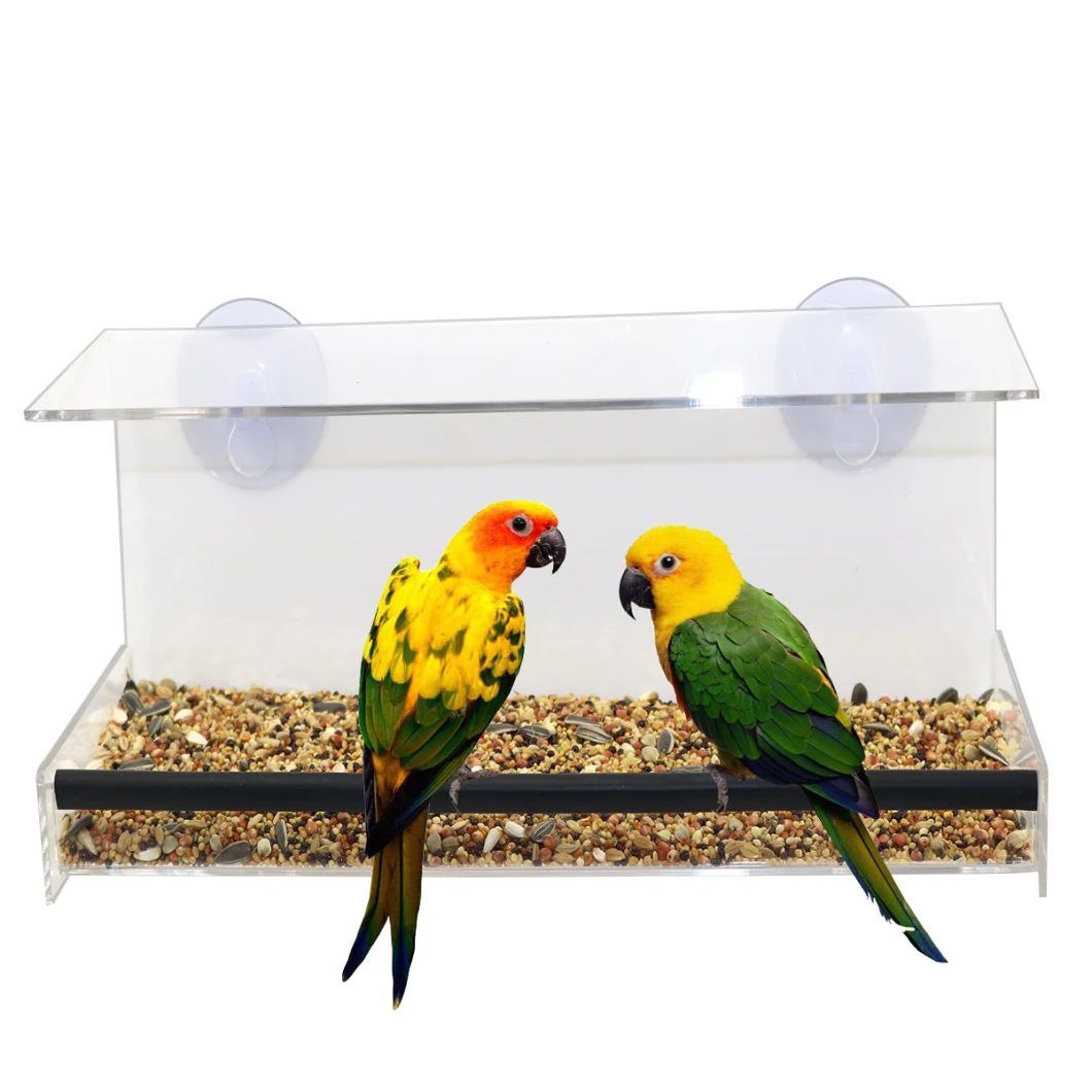 Rectangle Acrylic Bird Feeder Window Acrylic Bird Vewing