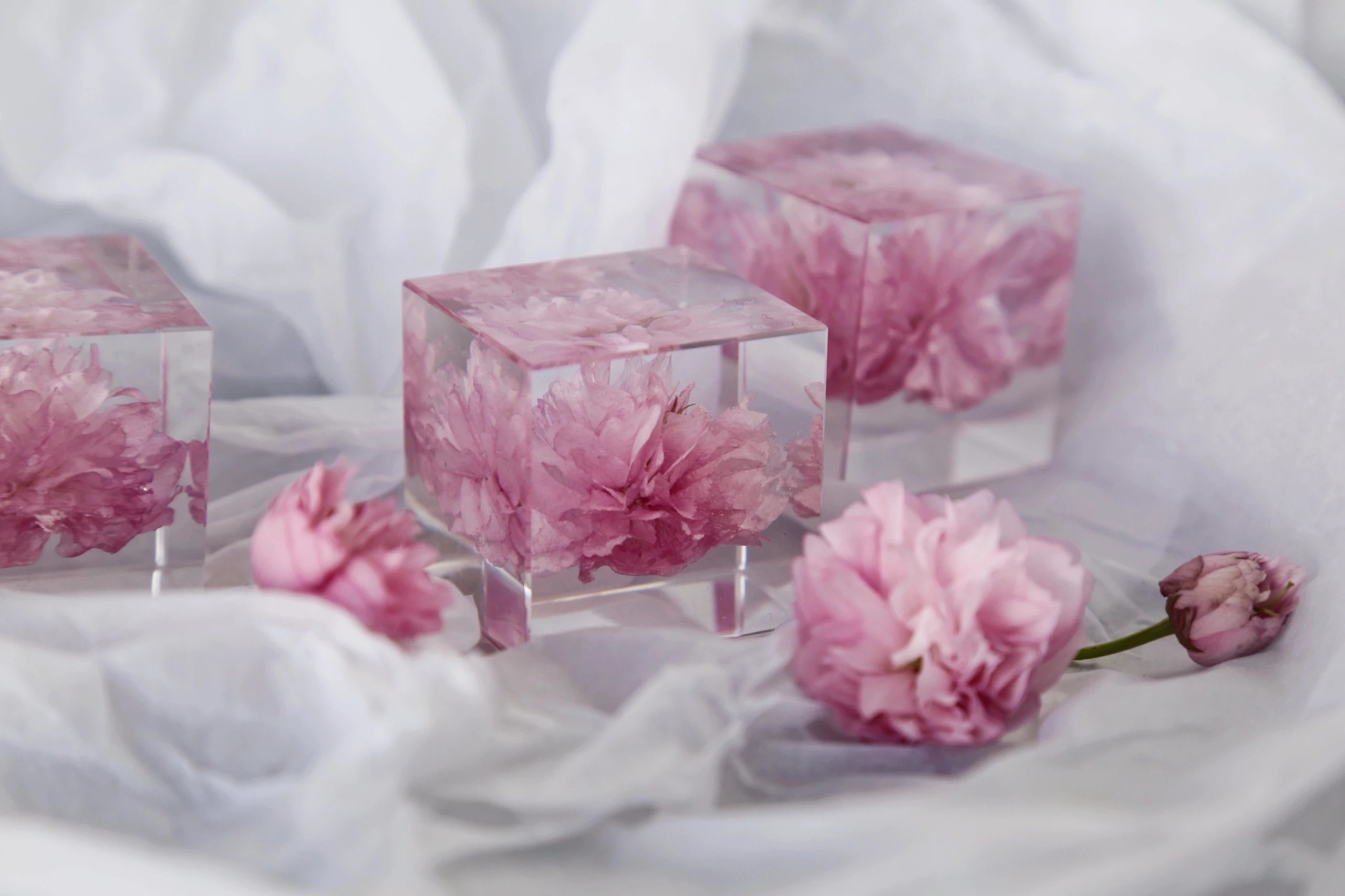 Souvenir Built in Flower Acrylic Block