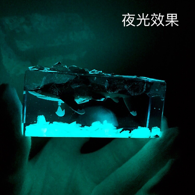 Souvenir Noctilucent Acrylic Block Built in Fish