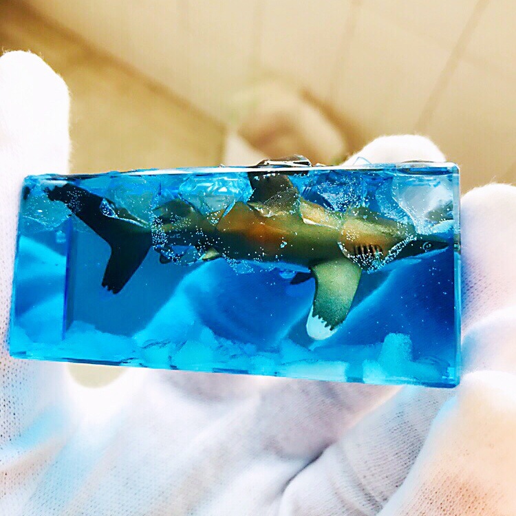 Souvenir Acrylic Block Built in Fish