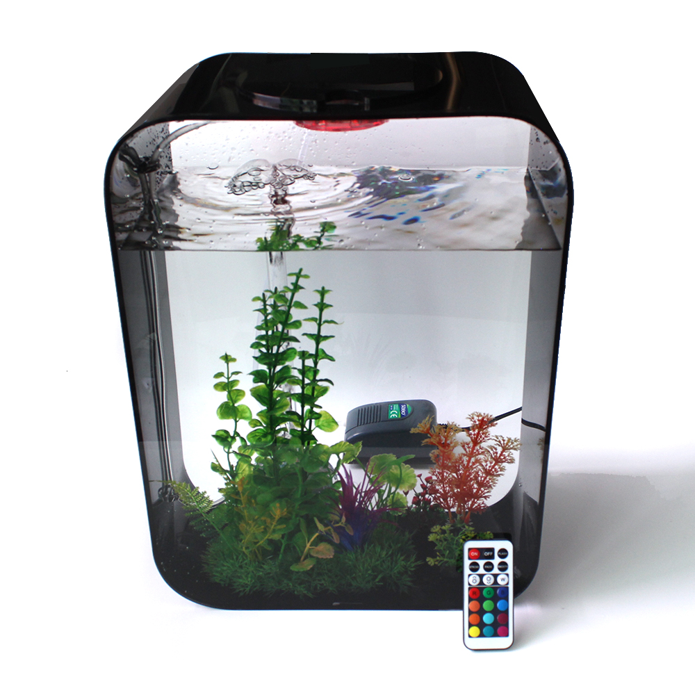 1fish Tank