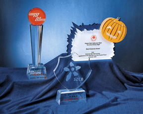 Customize Clear Acrylic Trophy Event Laser Engraved Award for Corporation