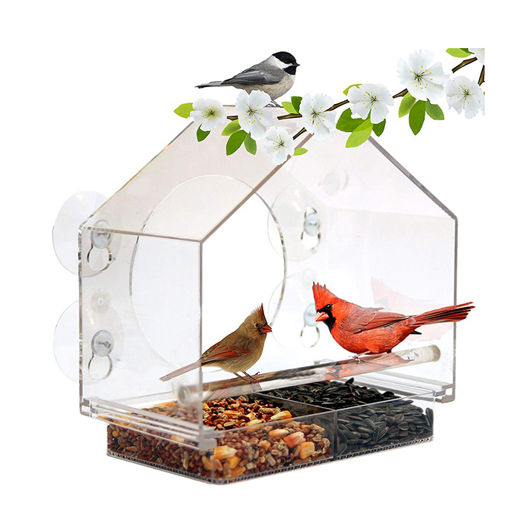 Bird Feeder 1