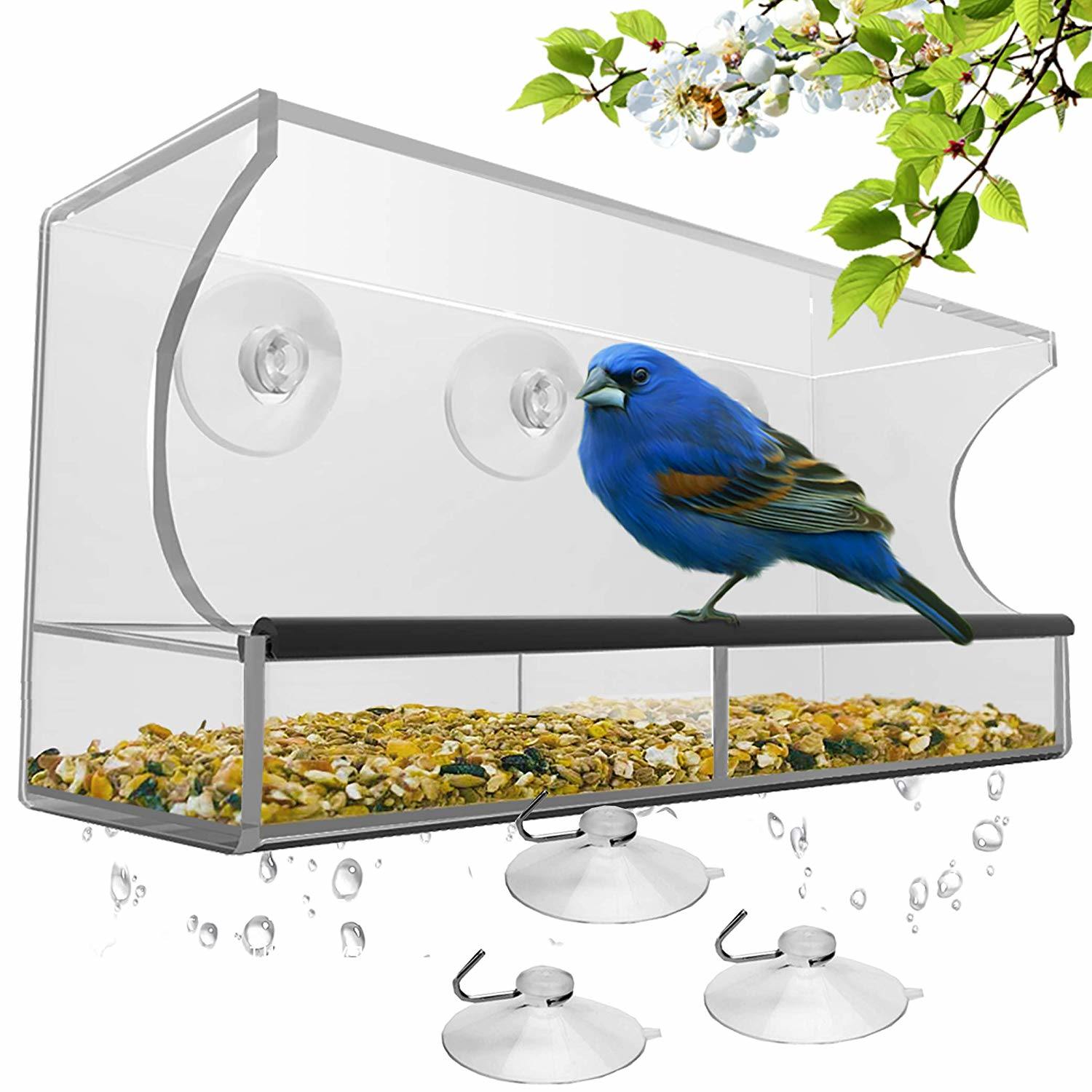 Wild Clear Acrylic Bird House