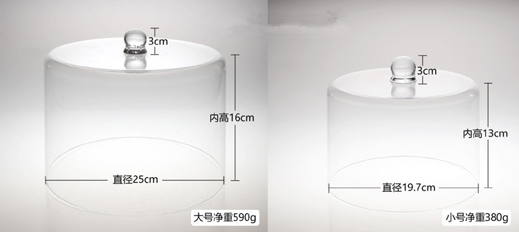 Clear Acrylic Plastic Dome Cake Cover Lid